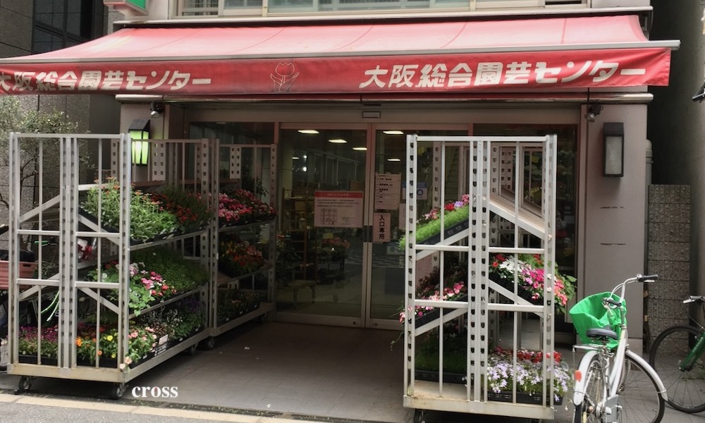花や植木の格安販売 大阪総合園芸センター は卸価格 ウサギさんの耳より情報
